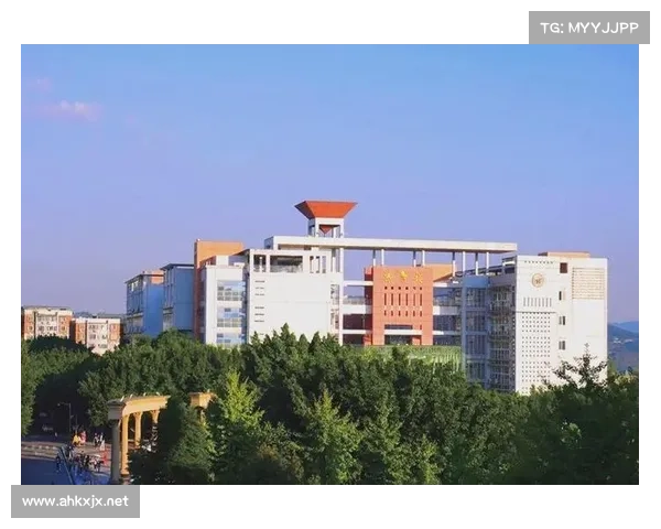 真三国无双5角色技能解析与战斗策略全方位指南