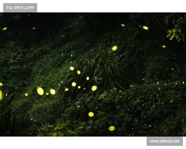 在神秘荧光森林中感受心灵宁静的冥想之旅探索