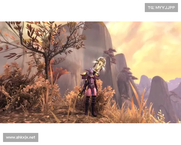 达纳苏斯战袍象征意义与文化内涵探析及其在艾泽拉斯中的历史地位