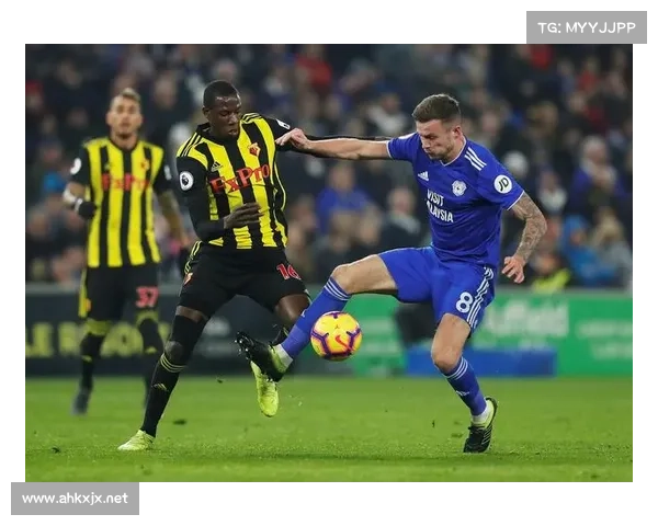 全景全面探索加的夫城足球队历年参与的多种联赛类别深度解析研究 全景全面探索加的夫城足球队历年参与的多种联赛类别深度解析研究